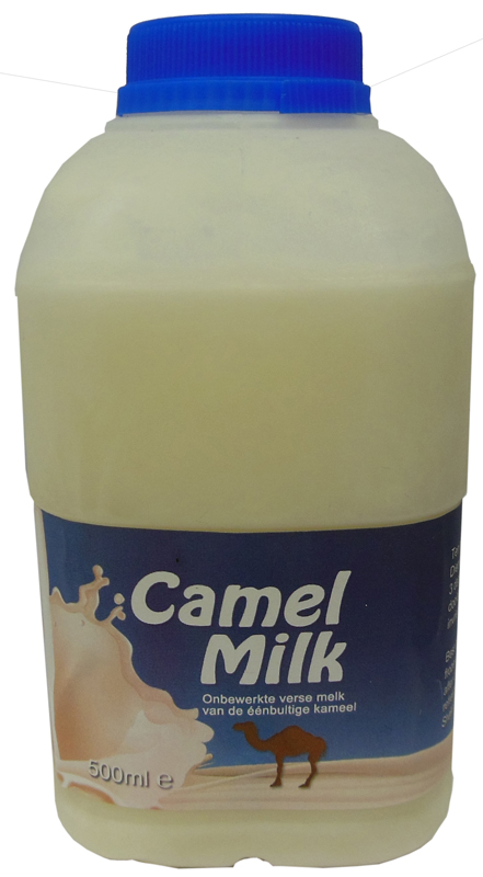 Camel’s milk and its many health benefits | Mullaco Online